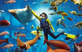 بازگشایی آکواریوم جدید هتل آتلانتیس دبی