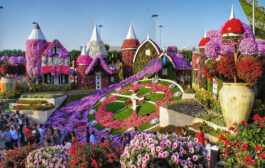 Free Entry to Dubai Miracle Garden on Your Birthday